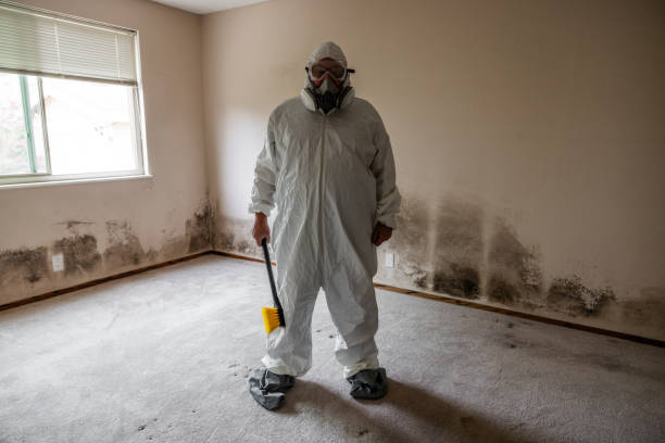 Mold Remediation for Rental Properties in Martha Lake, WA